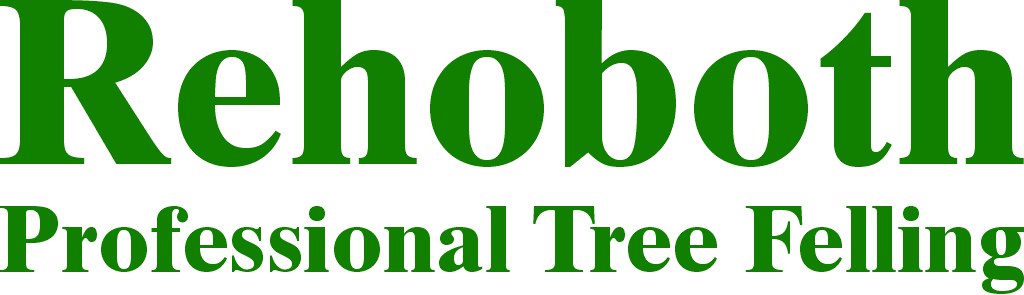 Rehoboth Tree Felling Services